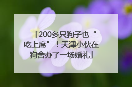 200多只狗子也“吃上席”！天津小伙在狗舍办了一场婚礼