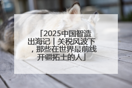 2025中国智造出海记丨关税风波下，那些在世界最前线开疆拓土的人