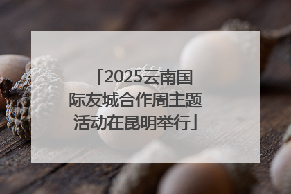 2025云南国际友城合作周主题活动在昆明举行