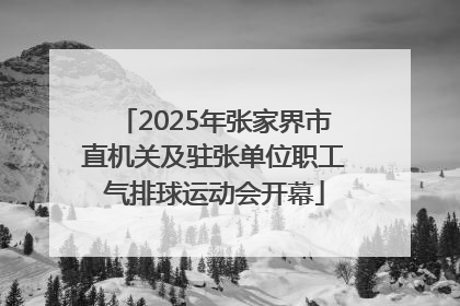 2025年张家界市直机关及驻张单位职工气排球运动会开幕
