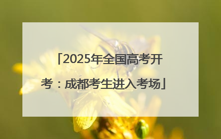2025年全国高考开考：成都考生进入考场