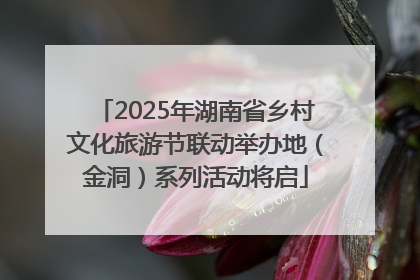 2025年湖南省乡村文化旅游节联动举办地（金洞）系列活动将启