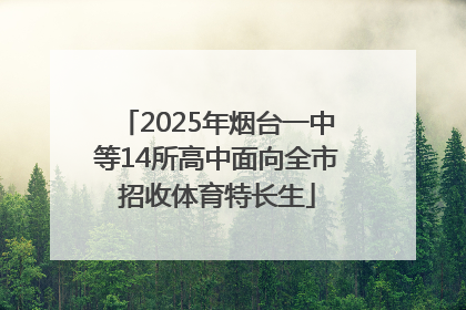 2025年烟台一中等14所高中面向全市招收体育特长生