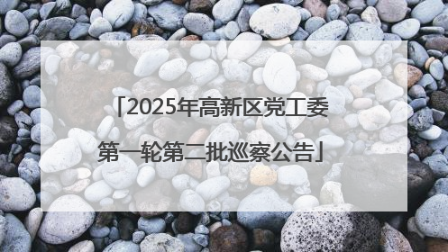 2025年高新区党工委第一轮第二批巡察公告