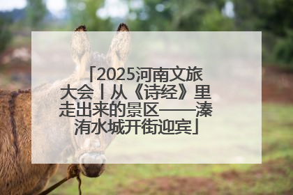 2025河南文旅大会丨从《诗经》里走出来的景区——溱洧水城开街迎宾