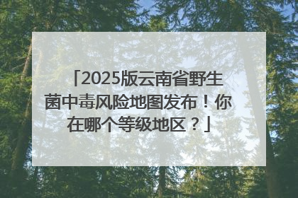 2025版云南省野生菌中毒风险地图发布！你在哪个等级地区？