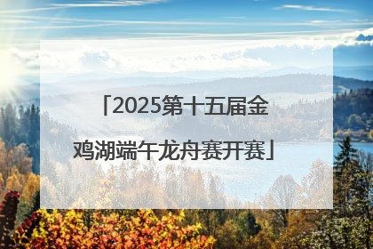 2025第十五届金鸡湖端午龙舟赛开赛