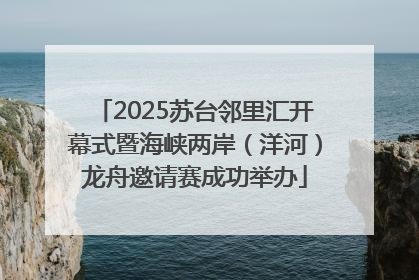 2025苏台邻里汇开幕式暨海峡两岸（洋河）龙舟邀请赛成功举办