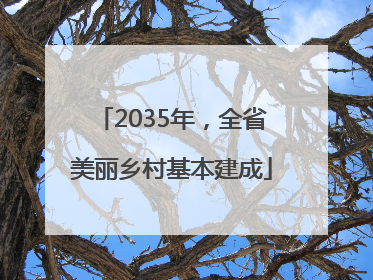 2035年，全省美丽乡村基本建成
