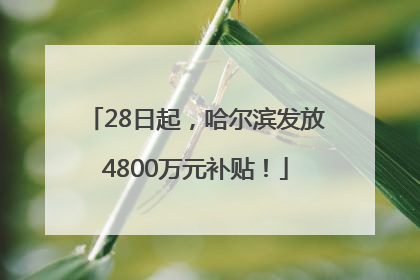 28日起，哈尔滨发放4800万元补贴！