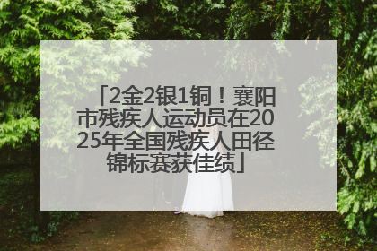 2金2银1铜！襄阳市残疾人运动员在2025年全国残疾人田径锦标赛获佳绩