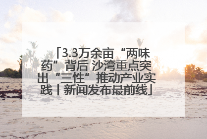3.3万余亩“两味药”背后 沙湾重点突出“三性”推动产业实践丨新闻发布最前线