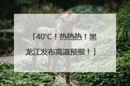 40℃！热热热！黑龙江发布高温预报！