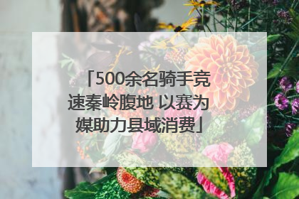 500余名骑手竞速秦岭腹地 以赛为媒助力县域消费