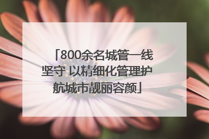 800余名城管一线坚守 以精细化管理护航城市靓丽容颜