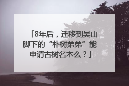 8年后，迁移到吴山脚下的“朴树弟弟”能申请古树名木么？