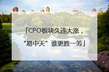 CPO板块久违大涨，“易中天”谁更胜一筹