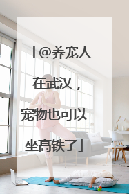 @养宠人 在武汉，宠物也可以坐高铁了