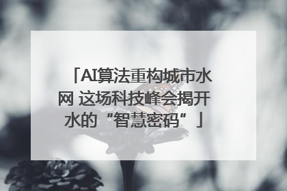 AI算法重构城市水网 这场科技峰会揭开水的“智慧密码”