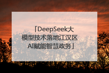 DeepSeek大模型技术落地江汉区 AI赋能智慧政务