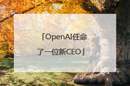 OpenAI任命了一位新CEO
